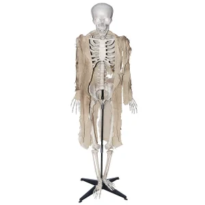 63" Talking Skeleton Halloween Decoration<Oriental Trading Cheap