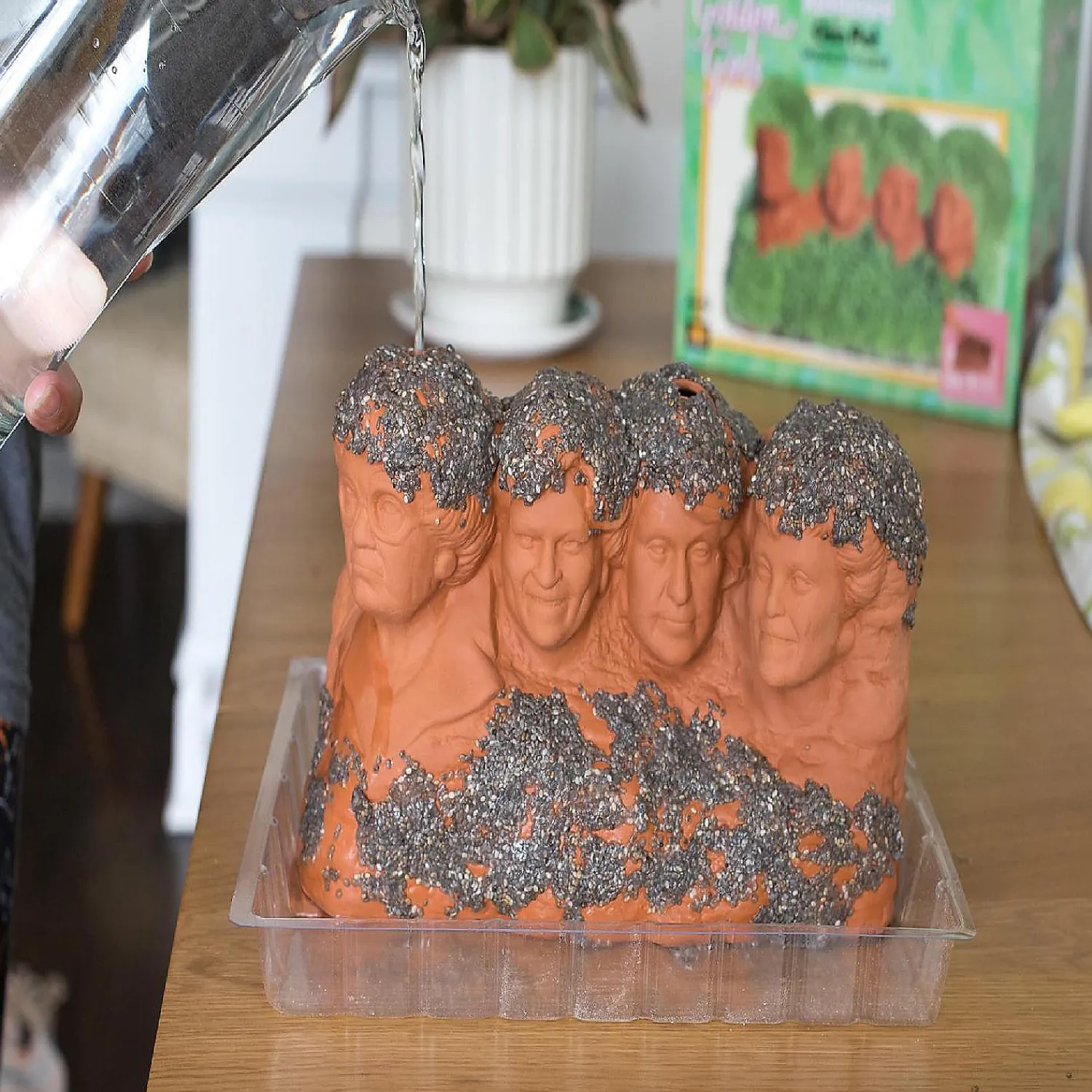 the_golden_girls_rushmore_3.webp Oriental Trading Character Toys*The Golden Girls Rushmore Chia Pet Decorative Planter Toynk Exclusive