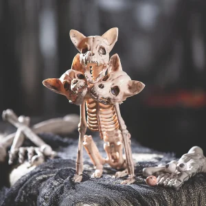 Three-Headed Dog Skeleton Halloween Decoration<Oriental Trading Shop