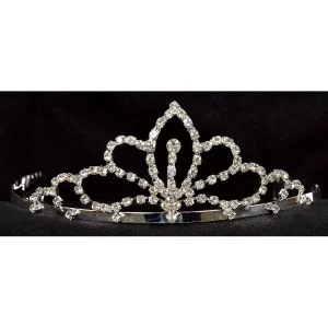 Tiara<Oriental Trading Cheap