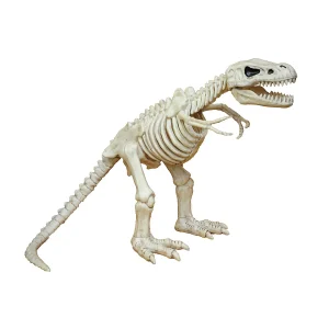 16" T-Rex Skeleton Decoration<Oriental Trading Best Sale