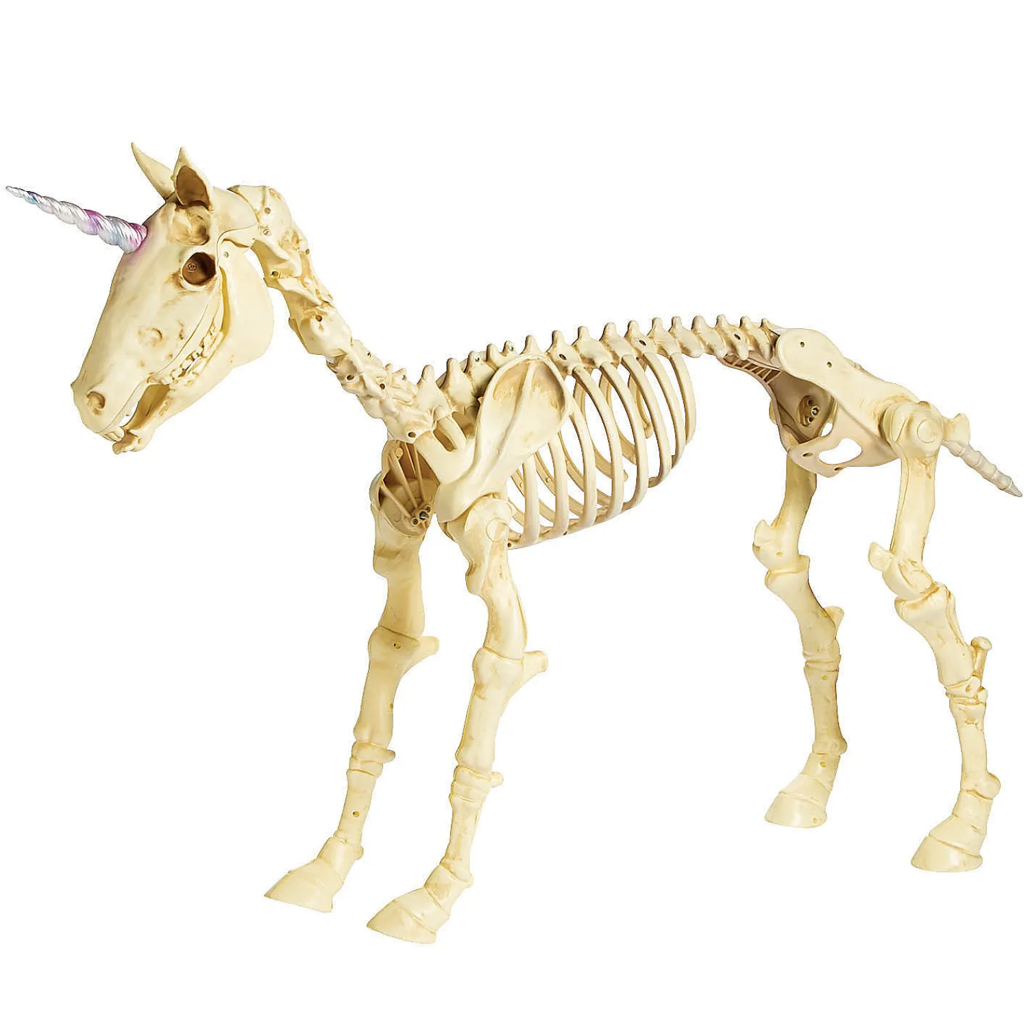 unicorn_skeleton_hallowee_1.webp Unicorn Skeleton Halloween Decoration<Oriental Trading Outlet