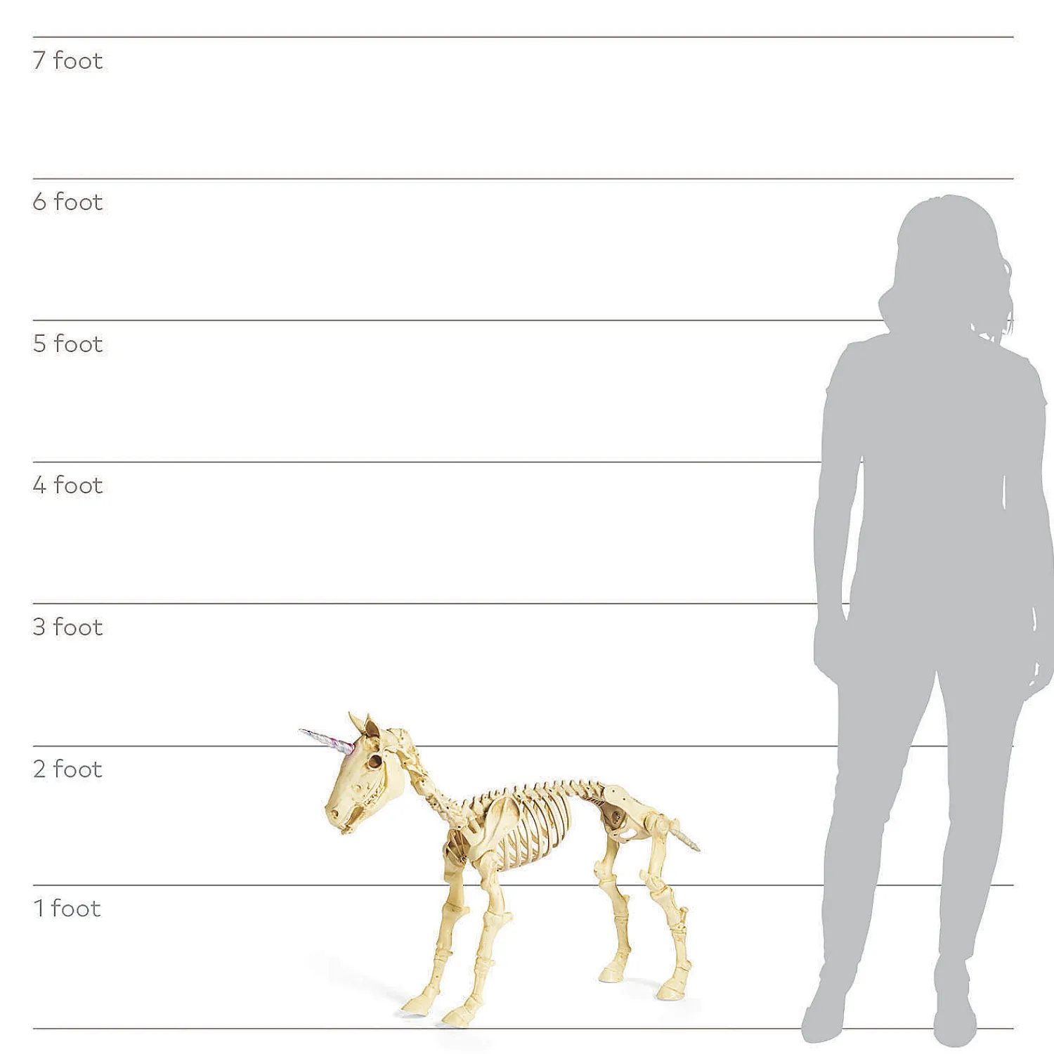 unicorn_skeleton_hallowee_2.webp Unicorn Skeleton Halloween Decoration<Oriental Trading Outlet