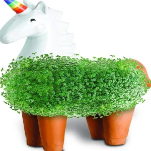 Oriental Trading Character Toys*Unicorn With Rainbow Horn Chia Pet Decorative Planter