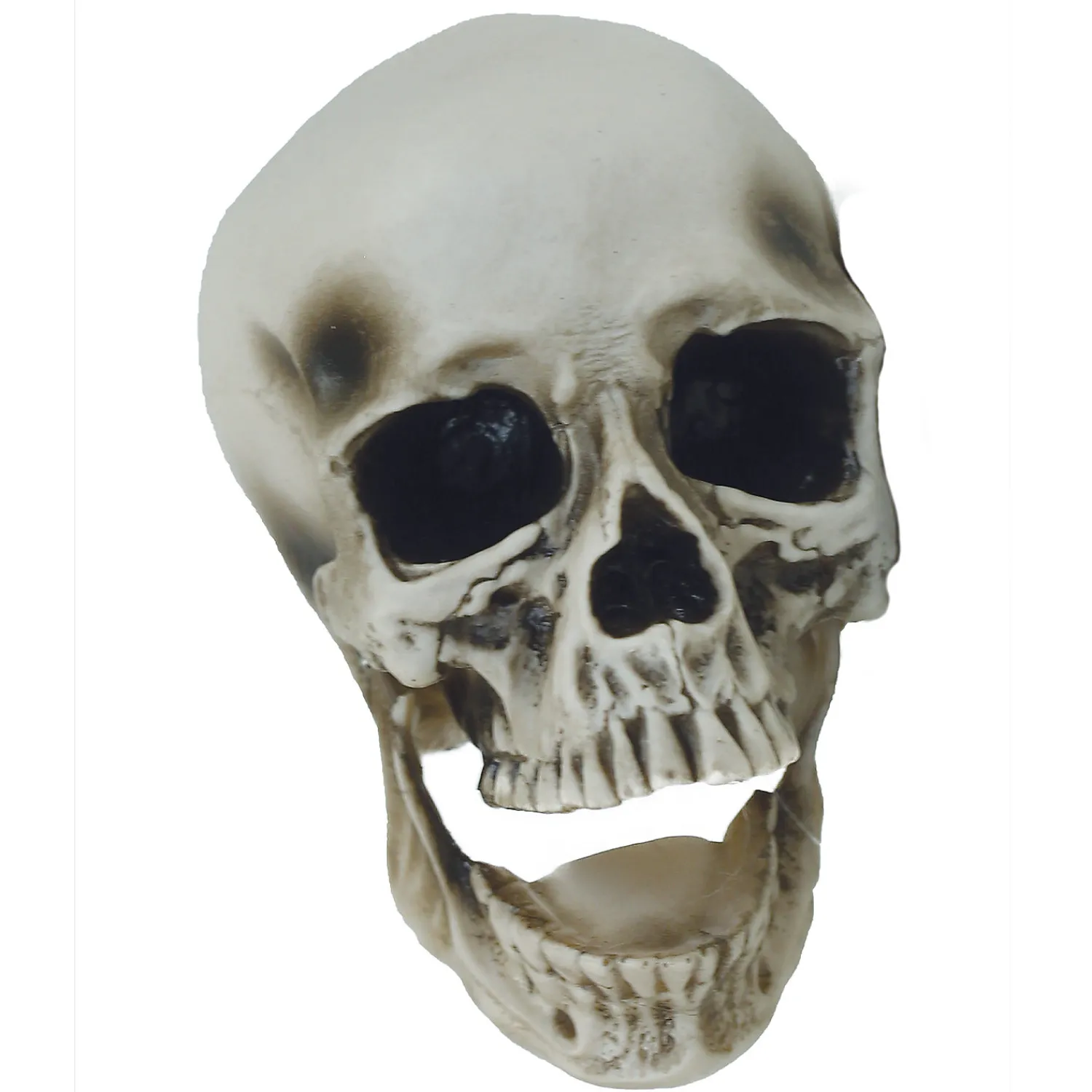 vinyl_skull_decoration_2.webp Vinyl Skull Decoration<Oriental Trading Discount