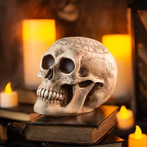Withchcraft Skull Halloween Decoration<Oriental Trading Shop