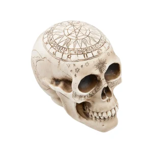 Withchcraft Skull Halloween Decoration<Oriental Trading Shop
