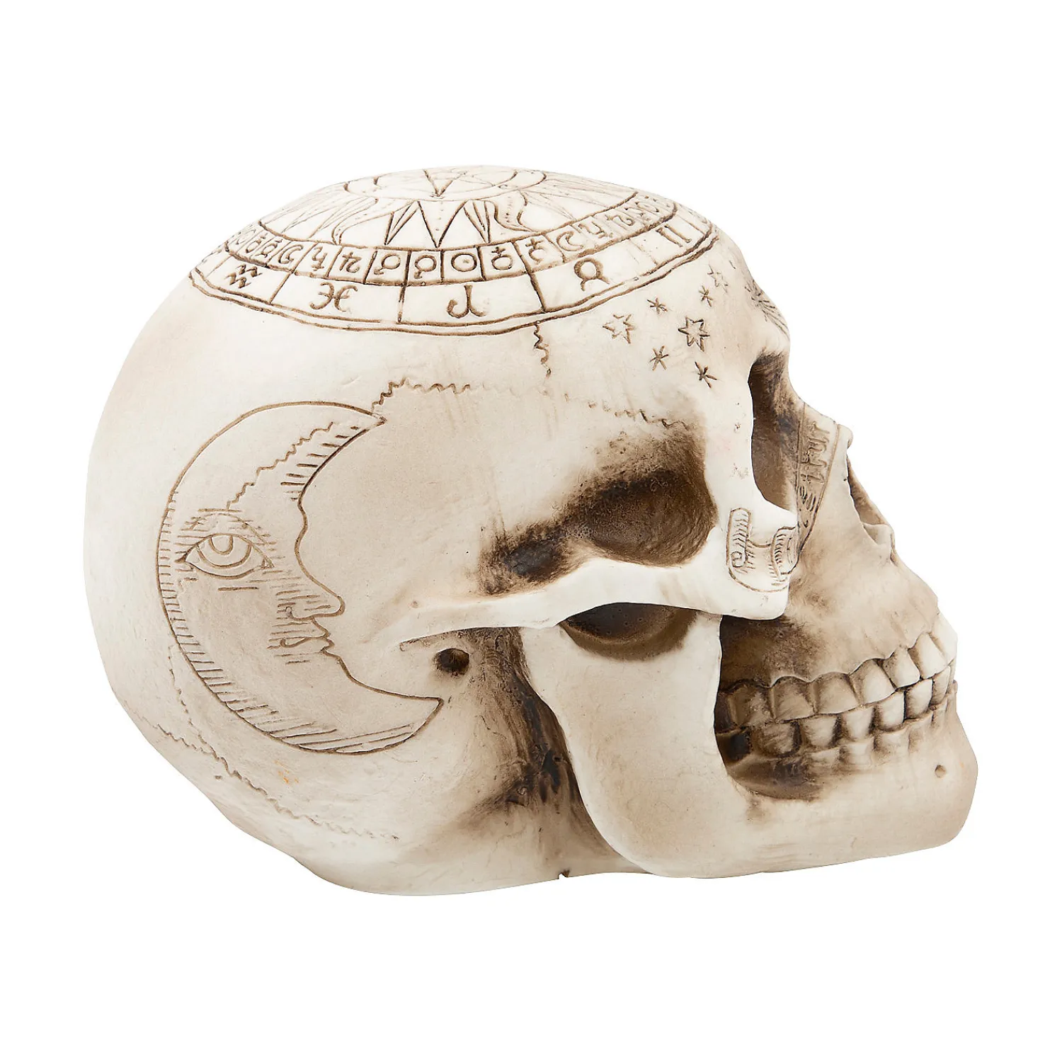 withchcraft_skull_hallowe_2.webp Withchcraft Skull Halloween Decoration<Oriental Trading Shop